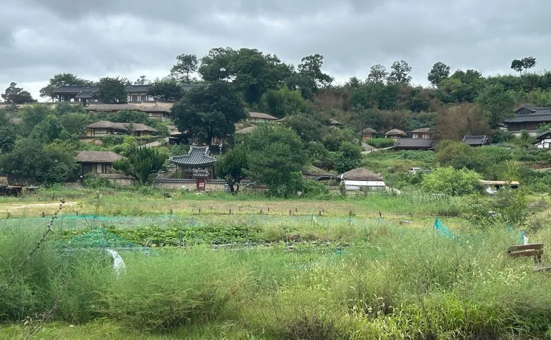 Корея, дома, природа , фото - Новости Zakon.kz от 16.10.2025 15:48