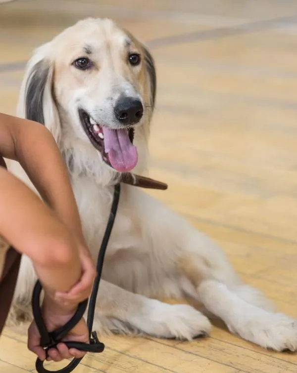 тайган Нурсултан, фото - Новости Zakon.kz от 16.10.2025 11:18