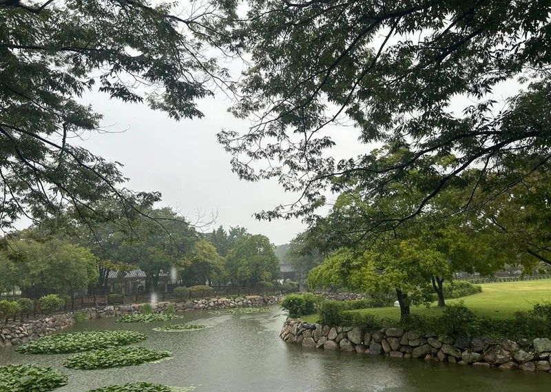 Кёнджу, озеро, парк , фото - Новости Zakon.kz от 16.10.2025 15:48