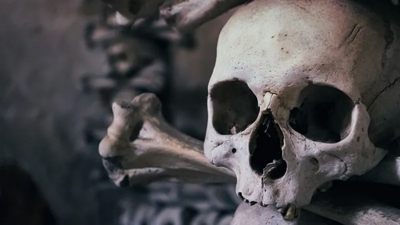 Фрагмент черепа человека, жившего 4200 лет, выбросило на берег в США