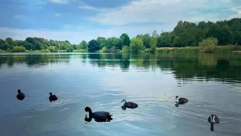 Тело туристки в черном платье нашли в природном заповеднике в Великобритании