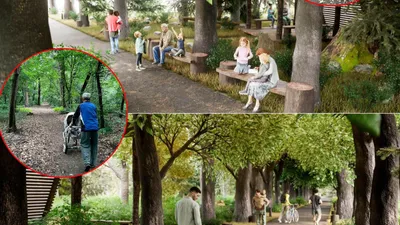 проект Рощи Баума, фото - Новости Zakon.kz от 18.10.2025 17:20