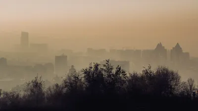 , фото - Новости Zakon.kz от 18.10.2025 15:34