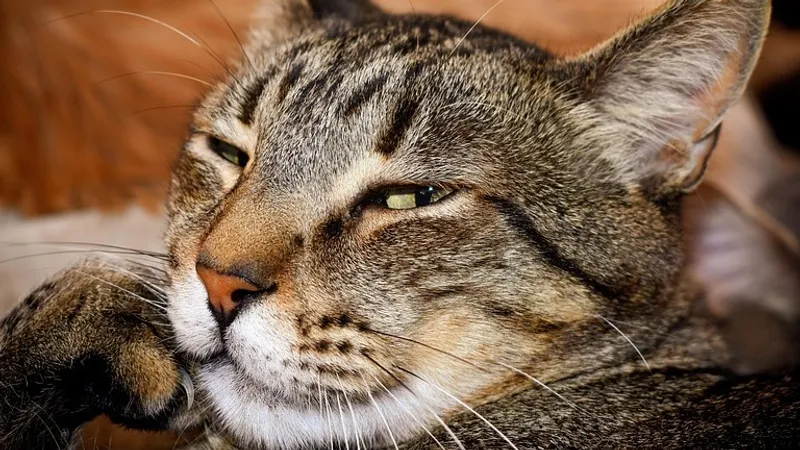 Названы знаки зодиака с самой непростой судьбой