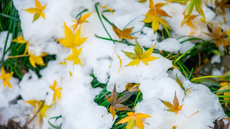 Усиление ветра, дождь и снег: синоптики рассказали о погоде на 20 октября