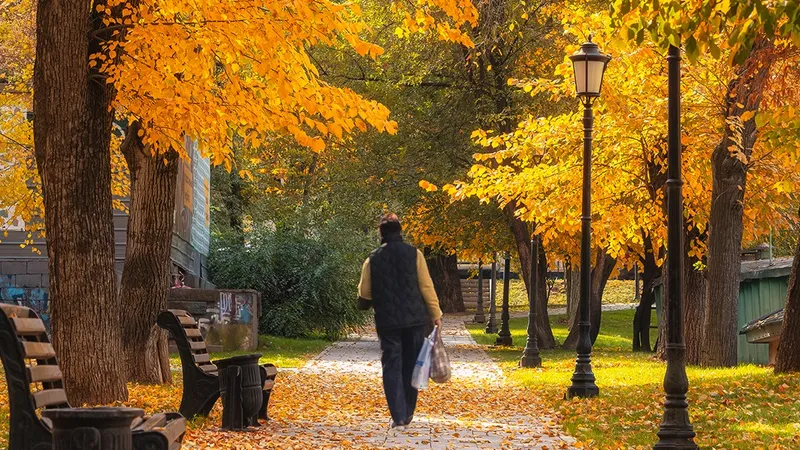 Алматы утонул в золоте: популярный фотограф показал идеальную осень