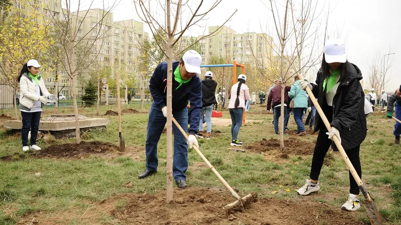 Если жители многоквартирных домов хотят высадить деревья: каковы правила и как должны измениться