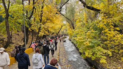Население, численность населения, население Казахстана, население РК, рост населения в РК, рост населения в Казахстане, народ, казахстанцы, люди, молодежь, толпа, сурет - Zakon.kz жаңалық 03.12.2025 20:59