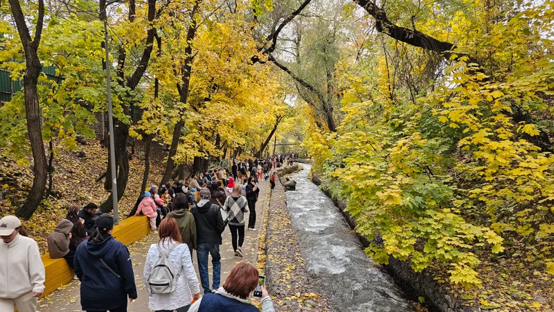 Бет-жүзін толық тұмшалағандар әкімшілік жауапкершілікке тартылады