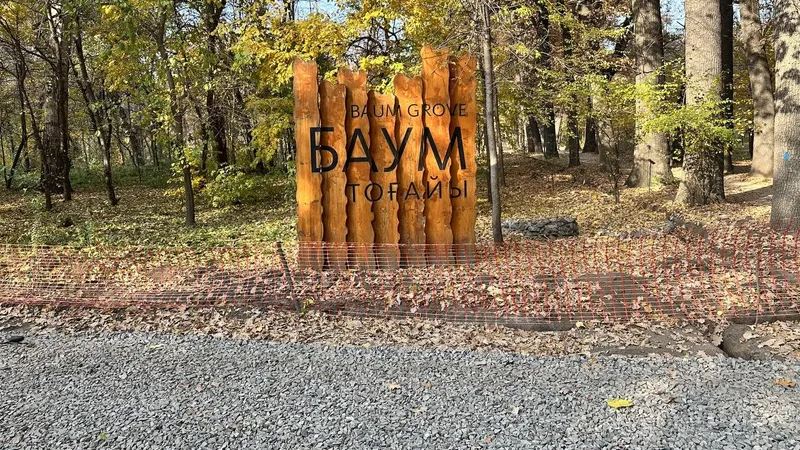 Зоны для пикника, пешеходные и беговые дорожки: как проходит обновление алматинской рощи Баума