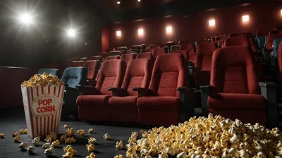 предпочтения в жанрах кино связаны с особенностями личности, фото - Новости Zakon.kz от 20.10.2025 20:42