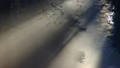 , фото - Новости Zakon.kz от 20.10.2025 19:34