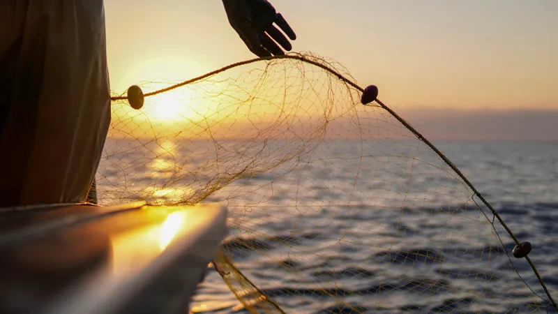 Ужесточить ответственность за браконьерство предлагает депутат