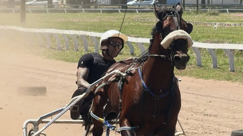 Экс-чемпион UFC стал победителем турнира по скачкам в упряжке