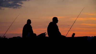 Қазақстанда балықшы мен орманшы куәліктерінің үлгісі мен берілу ережелері бекітілді