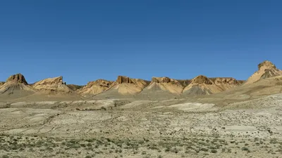 Приаралье, Кызылординская область, фото - Новости Zakon.kz от 21.10.2025 14:51