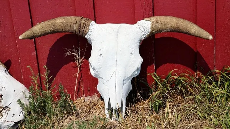 Угроза эпидемии и вред здоровью: опасные скотомогильники выявили в Алматинской области