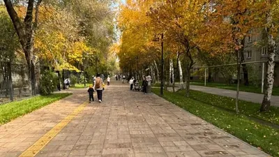 дорожка, Арбат, фото - Новости Zakon.kz от 22.10.2025 10:08