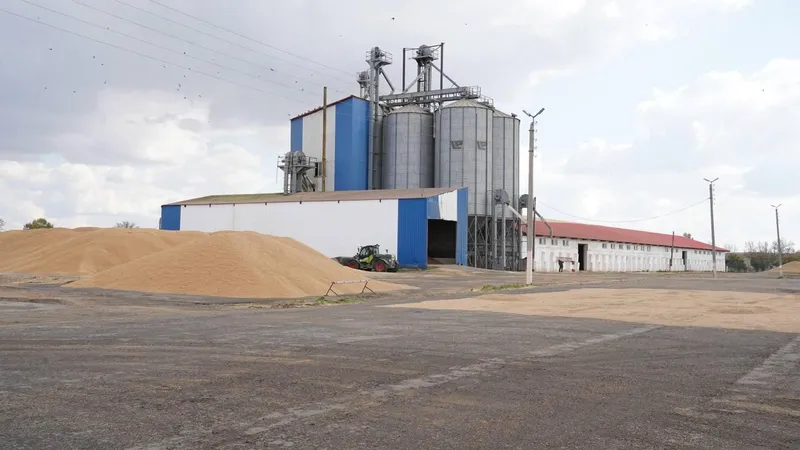 Урожай под управлением ИИ: цифровая революция в агросекторе Акмолинской области