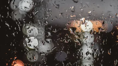 капли, фото - Новости Zakon.kz от 23.10.2025 17:45