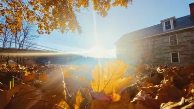 , фото - Новости Zakon.kz от 24.10.2025 10:21