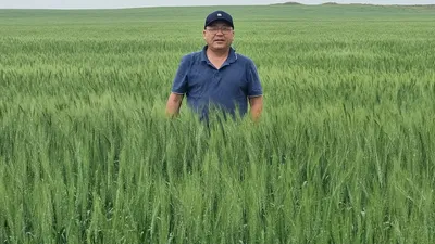 Господдержка сельского хозяйства, фото - Новости Zakon.kz от 23.10.2025 15:42