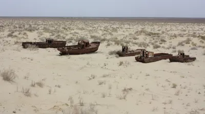 Арал, Кызылординская область, экология, фото - Новости Zakon.kz от 24.10.2025 15:54