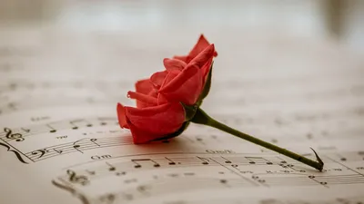 , фото - Новости Zakon.kz от 26.11.2025 10:12