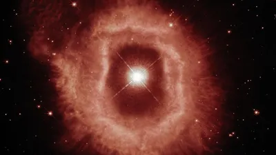 звезда, фото - Новости Zakon.kz от 24.10.2025 11:49