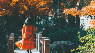 девушка со спины, осень, парк, фото - Новости Zakon.kz от 24.10.2025 16:19