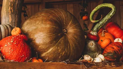 Какие болезни обостряются поздней осенью и что поможет с ними справиться, фото - Новости Zakon.kz от 25.10.2025 11:29