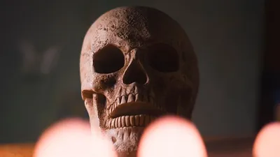 в Дании нашли захоронение, фото - Новости Zakon.kz от 28.10.2025 01:16