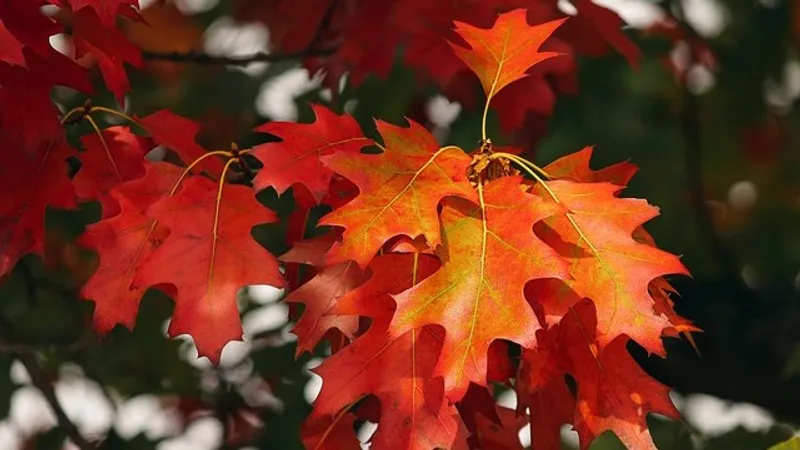 От -7°C до +20°C: синоптики Казахстана представили температурный прогноз на вторник