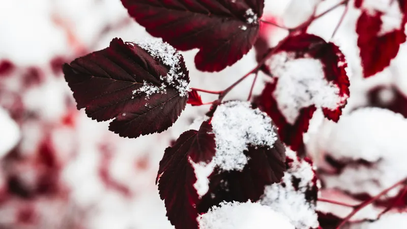 Первый снег в Астане, дожди и похолодание в Алматы, Шымкенте: прогноз погоды на 30 октября-1 ноября