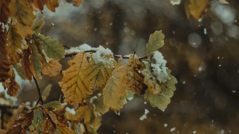 Похолодание и осадки обрушатся на Казахстан с 30 октября по 1 ноября