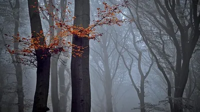 , фото - Новости Zakon.kz от 30.10.2025 09:57