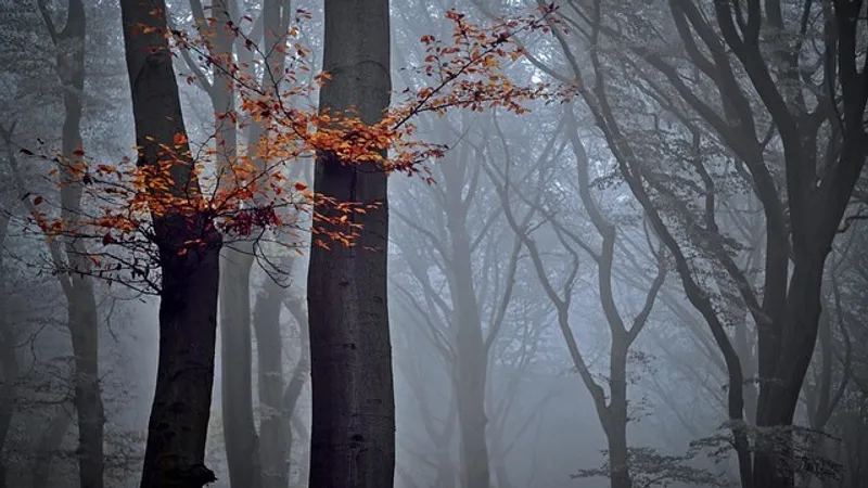 Казахстан накроет непогода: в каких областях объявили штормовое предупреждение