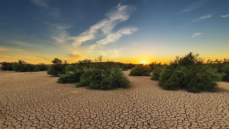 Ученые впервые обнаружили у земли "память"