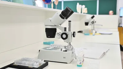 Школа, школы, школьный кабинет, школьные кабинеты, класс, классы, школьные занятия, уроки , фото - Новости Zakon.kz от 19.02.2026 09:19