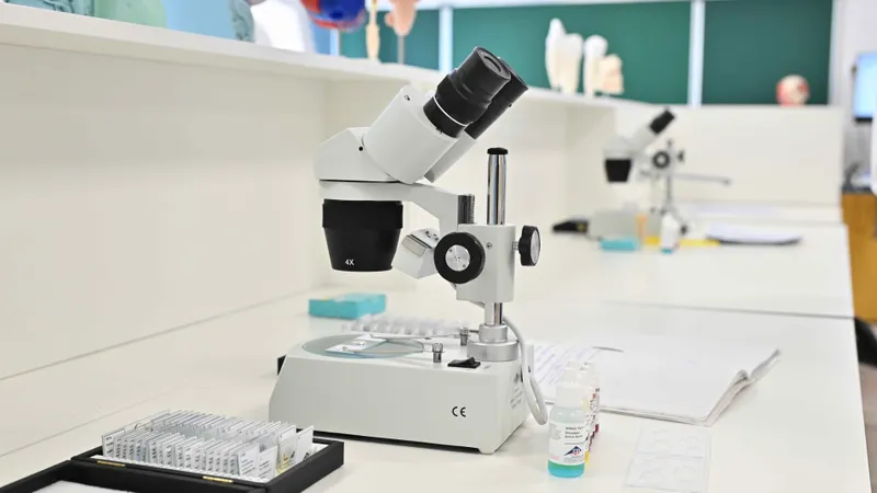 Частная школа пойдет под ликвидацию, несмотря на учеников: что с ней не так