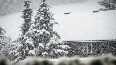 , фото - Новости Zakon.kz от 31.10.2025 17:41