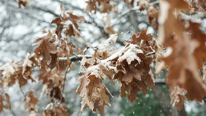 Зима близко: в Казахстане 1 ноября резко испортится погода