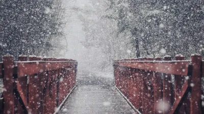 мост, снегопад, фото - Новости Zakon.kz от 31.10.2025 16:11