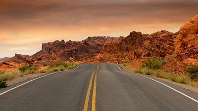 в пустыне около Лас-Вегаса нашли более 300 человеческих останков, фото - Новости Zakon.kz от 01.11.2025 01:51