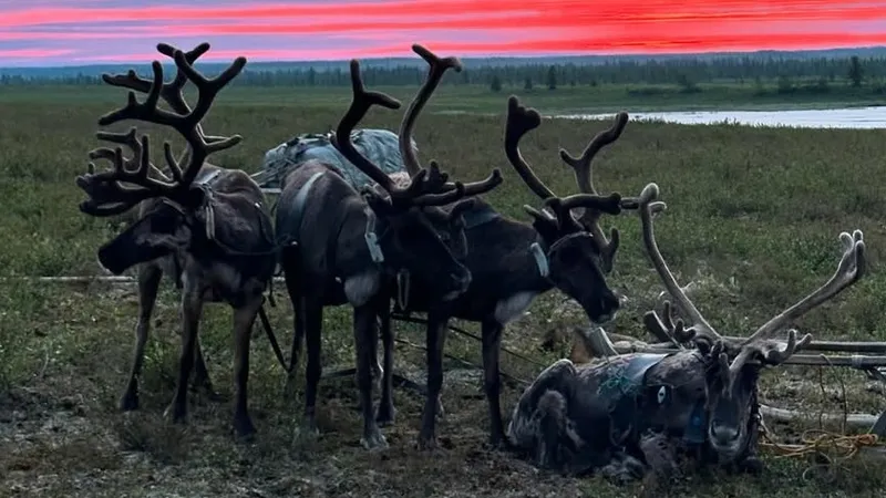 Путешествие в Арктику показал основатель известной пиццерии