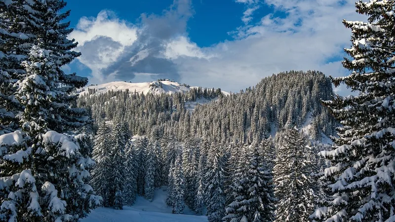 Ноябрь в Алматы начнется со снега: прогноз на неделю