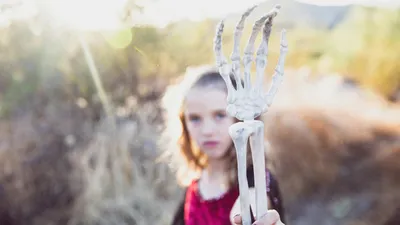 Скелет, природа, рука, фото - Новости Zakon.kz от 02.11.2025 06:59