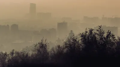 смог, фото - Новости Zakon.kz от 01.11.2025 09:08