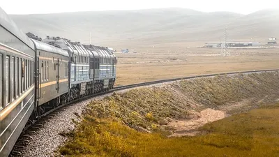 девочку похитили, изнасиловали и обезглавили, фото - Новости Zakon.kz от 01.11.2025 22:45