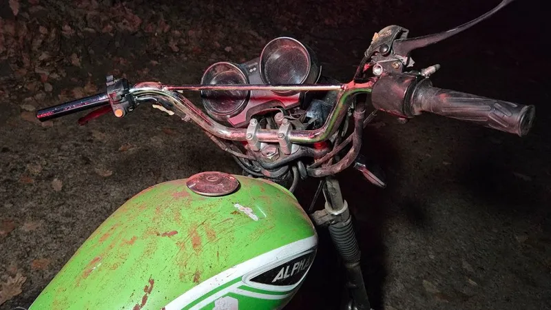 Трагическая ночь в роще Баума в Алматы унесла жизнь молодого парня